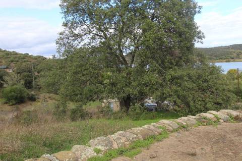 Terreno Rústico com 3230m2 e vista rio,para venda.
