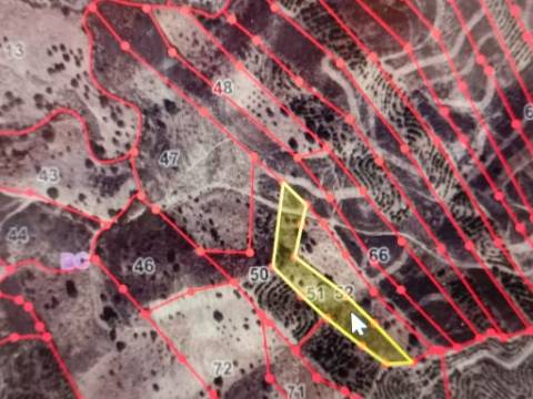 TERRENO RÚSTICO COM 5.560 M2 - COM ÁRVORES - ALCARIAS GRANDES - CASTRO MARIM - ALGARVE