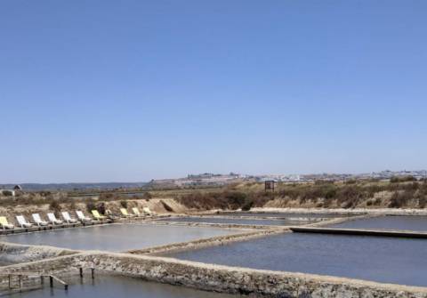 TERRENO RÚSTICO COM 5.560 M2 - COM ÁRVORES - ALCARIAS GRANDES - CASTRO MARIM - ALGARVE