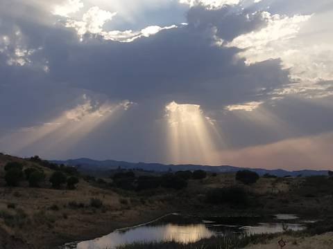 TERRENO RÚSTICO COM 5.560 M2 - COM ÁRVORES - ALCARIAS GRANDES - CASTRO MARIM - ALGARVE