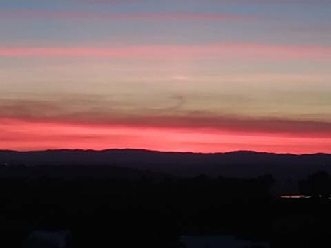 TERRENO RÚSTICO COM 5.560 M2 - COM ÁRVORES - ALCARIAS GRANDES - CASTRO MARIM - ALGARVE