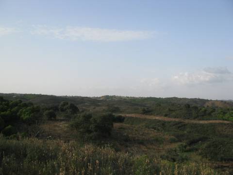 TERRENO RÚSTICO COM 5.560 M2 - COM ÁRVORES - ALCARIAS GRANDES - CASTRO MARIM - ALGARVE