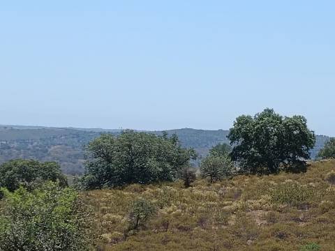 TERRENO COM VISTA RIO - COM 11.920 M2 PRÓXIMO A FOZ DE ODELEITE - CASTRO MARIM - ALGARVE