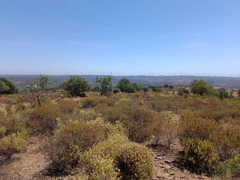 TERRENO COM VISTA RIO - COM 11.920 M2 PRÓXIMO A FOZ DE ODELEITE - CASTRO MARIM - ALGARVE