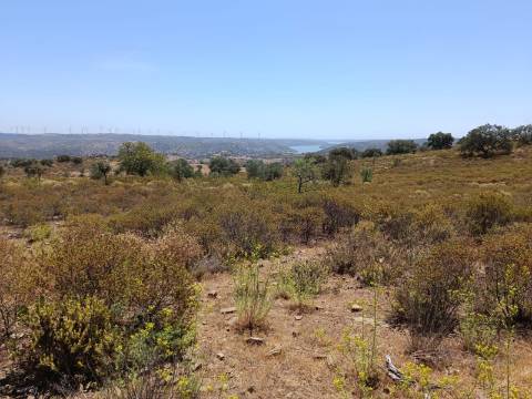 TERRENO COM VISTA RIO - COM 11.920 M2 PRÓXIMO A FOZ DE ODELEITE - CASTRO MARIM - ALGARVE