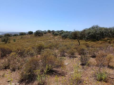 TERRENO COM VISTA RIO - COM 11.920 M2 PRÓXIMO A FOZ DE ODELEITE - CASTRO MARIM - ALGARVE