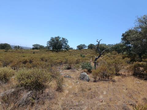 TERRENO COM VISTA RIO - COM 11.920 M2 PRÓXIMO A FOZ DE ODELEITE - CASTRO MARIM - ALGARVE