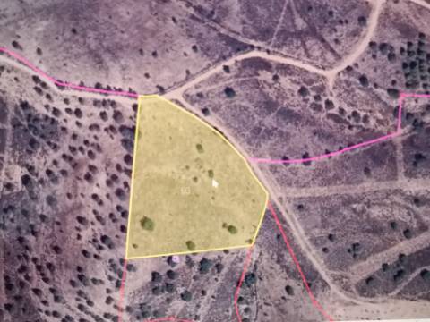 TERRENO COM VISTA RIO - COM 11.920 M2 PRÓXIMO A FOZ DE ODELEITE - CASTRO MARIM - ALGARVE