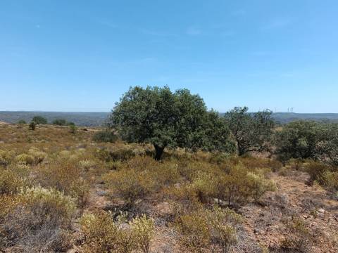 TERRENO COM VISTA RIO - COM 11.920 M2 PRÓXIMO A FOZ DE ODELEITE - CASTRO MARIM - ALGARVE