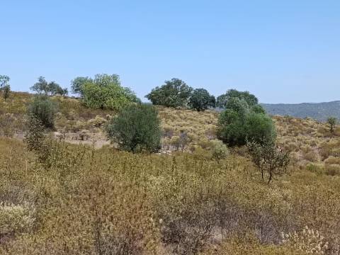 TERRENO COM VISTA RIO - COM 11.920 M2 PRÓXIMO A FOZ DE ODELEITE - CASTRO MARIM - ALGARVE