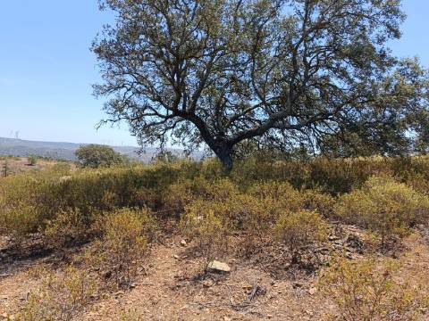 TERRENO COM VISTA RIO - COM 11.920 M2 PRÓXIMO A FOZ DE ODELEITE - CASTRO MARIM - ALGARVE