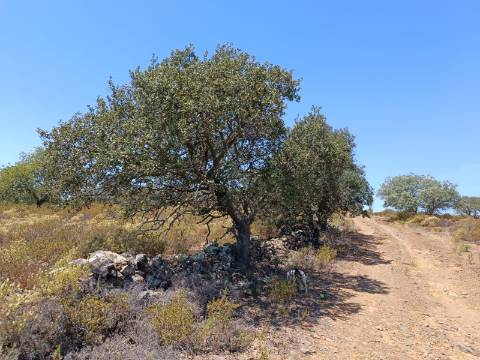 TERRENO COM VISTA RIO - COM 11.920 M2 PRÓXIMO A FOZ DE ODELEITE - CASTRO MARIM - ALGARVE