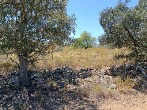 TERRENO COM VISTA RIO - COM 11.920 M2 PRÓXIMO A FOZ DE ODELEITE - CASTRO MARIM - ALGARVE