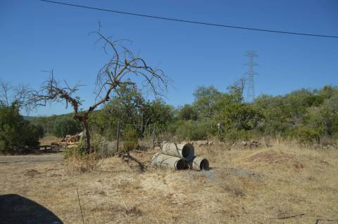 Terreno Rústico Desbarato, Santa Catarina da Fonte do Bispo