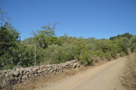Terreno Rústico Desbarato, Santa Catarina da Fonte do Bispo