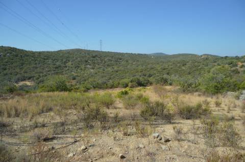Terreno Rústico Desbarato, Santa Catarina da Fonte do Bispo
