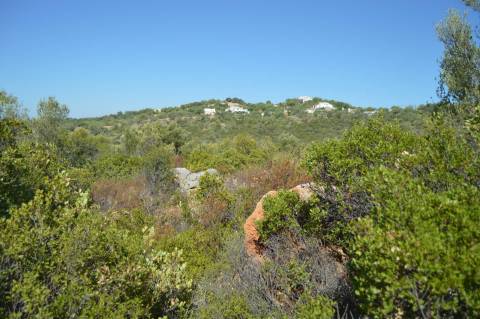 Terreno Rústico Desbarato, Santa Catarina da Fonte do Bispo