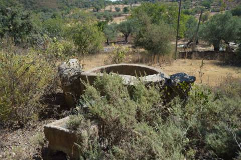 Terreno Rústico Desbarato, Santa Catarina da Fonte do Bispo