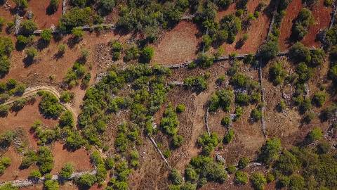 Terreno Rústico Desbarato, Santa Catarina da Fonte do Bispo