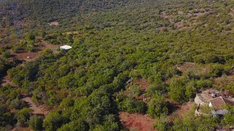 Terreno Rústico Desbarato, Santa Catarina da Fonte do Bispo
