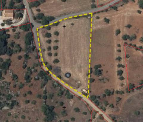 Terreno Rústico Desbarato, Santa Catarina da Fonte do Bispo