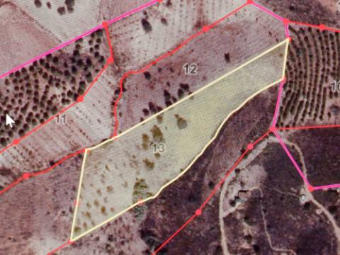 TERRENO RÚSTICO COM 10.320 M2 - VISTA LAGO - ALCARIAS GRANDES - CASTRO MARIM - ALGARVE