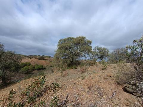 TERRENO RÚSTICO COM 10.320 M2 - VISTA LAGO - ALCARIAS GRANDES - CASTRO MARIM - ALGARVE