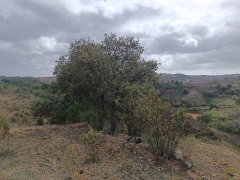 TERRENO RÚSTICO COM 10.320 M2 - VISTA LAGO - ALCARIAS GRANDES - CASTRO MARIM - ALGARVE