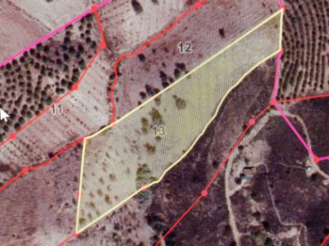 TERRENO RÚSTICO COM 10.320 M2 - VISTA LAGO - ALCARIAS GRANDES - CASTRO MARIM - ALGARVE