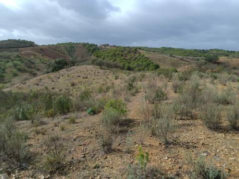 TERRENO RÚSTICO COM 10.320 M2 - VISTA LAGO - ALCARIAS GRANDES - CASTRO MARIM - ALGARVE