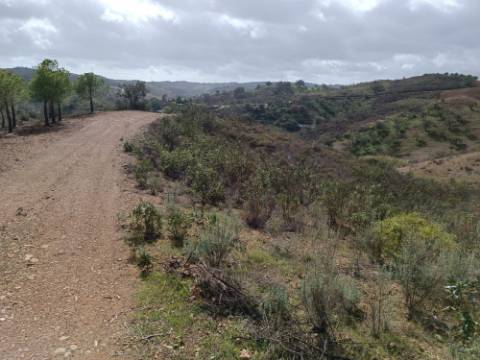 TERRENO RÚSTICO COM 10.320 M2 - VISTA LAGO - ALCARIAS GRANDES - CASTRO MARIM - ALGARVE