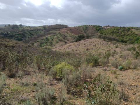TERRENO RÚSTICO COM 10.320 M2 - VISTA LAGO - ALCARIAS GRANDES - CASTRO MARIM - ALGARVE