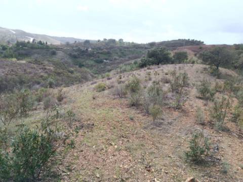 TERRENO RÚSTICO COM 10.320 M2 - VISTA LAGO - ALCARIAS GRANDES - CASTRO MARIM - ALGARVE