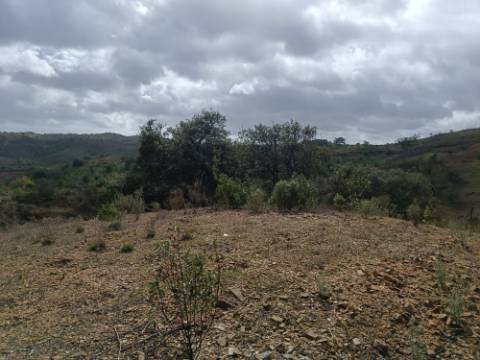 TERRENO RÚSTICO COM 10.320 M2 - VISTA LAGO - ALCARIAS GRANDES - CASTRO MARIM - ALGARVE