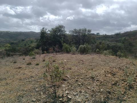 TERRENO RÚSTICO COM 10.320 M2 - VISTA LAGO - ALCARIAS GRANDES - CASTRO MARIM - ALGARVE