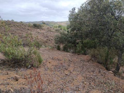 TERRENO RÚSTICO COM 10.320 M2 - VISTA LAGO - ALCARIAS GRANDES - CASTRO MARIM - ALGARVE