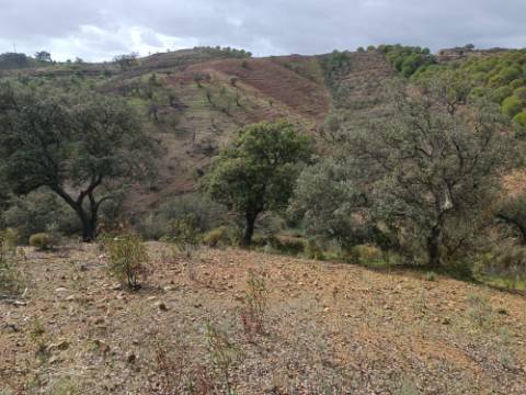 TERRENO RÚSTICO COM 10.320 M2 - VISTA LAGO - ALCARIAS GRANDES - CASTRO MARIM - ALGARVE