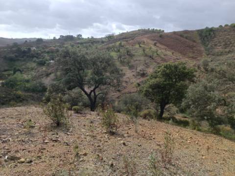 TERRENO RÚSTICO COM 10.320 M2 - VISTA LAGO - ALCARIAS GRANDES - CASTRO MARIM - ALGARVE