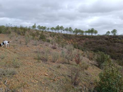 TERRENO RÚSTICO COM 10.320 M2 - VISTA LAGO - ALCARIAS GRANDES - CASTRO MARIM - ALGARVE