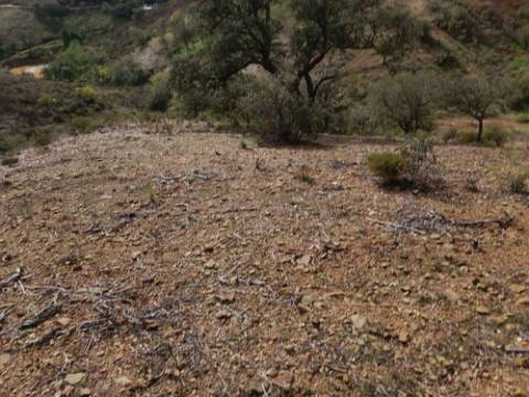 TERRENO RÚSTICO COM 10.320 M2 - VISTA LAGO - ALCARIAS GRANDES - CASTRO MARIM - ALGARVE