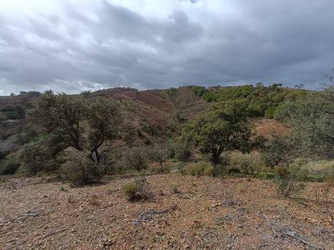 TERRENO RÚSTICO COM 10.320 M2 - VISTA LAGO - ALCARIAS GRANDES - CASTRO MARIM - ALGARVE