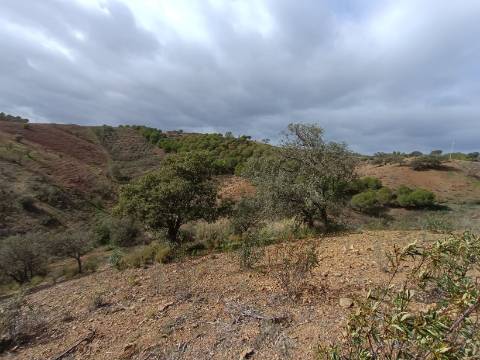 TERRENO RÚSTICO COM 10.320 M2 - VISTA LAGO - ALCARIAS GRANDES - CASTRO MARIM - ALGARVE