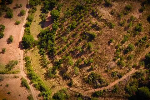 TERRENO COM PEQUENA RUÍNA EM CORTE DO PESO