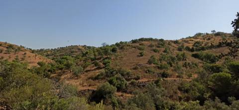 TERRENO COM PEQUENA RUÍNA EM CORTE DO PESO