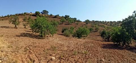 TERRENO COM PEQUENA RUÍNA EM CORTE DO PESO