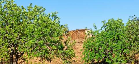 TERRENO COM PEQUENA RUÍNA EM CORTE DO PESO