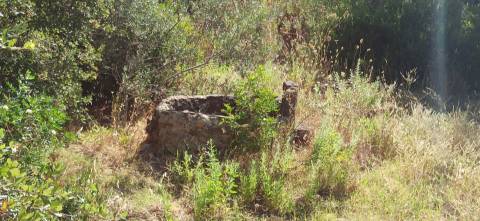 TERRENO COM PEQUENA RUÍNA EM CORTE DO PESO