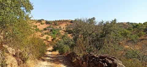 TERRENO COM PEQUENA RUÍNA EM CORTE DO PESO