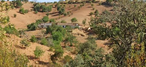 TERRENO COM PEQUENA RUÍNA EM CORTE DO PESO