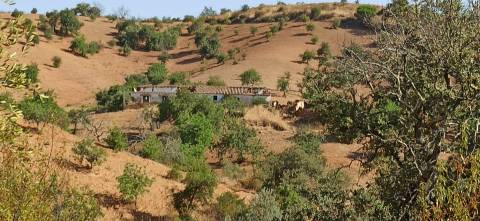 TERRENO COM PEQUENA RUÍNA EM CORTE DO PESO